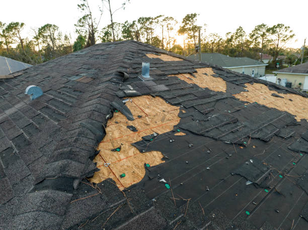 Best Metal Roofing Installation  in Overlea, MD