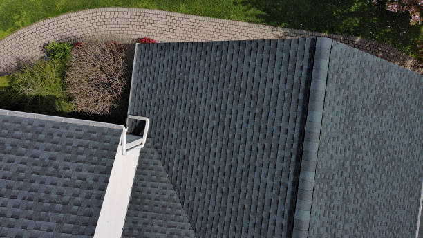 Best Roof Insulation Installation  in Overlea, MD